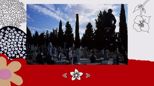 Volver - photo gallery