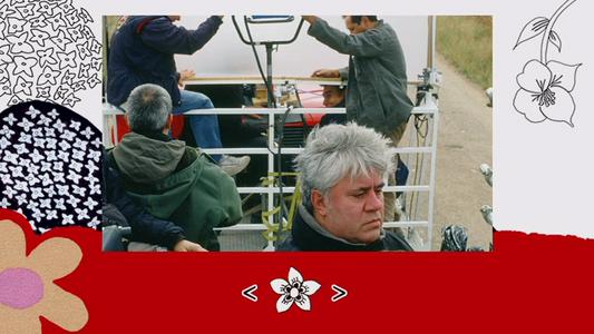 Volver - photo gallery