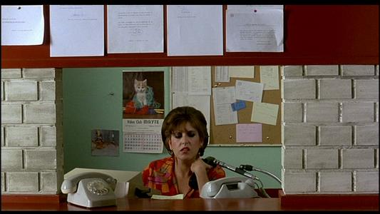 Women on the Verge of a Nervous Breakdown
