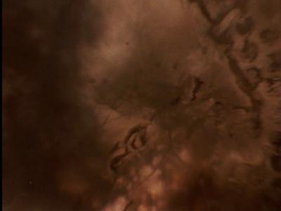 Starman