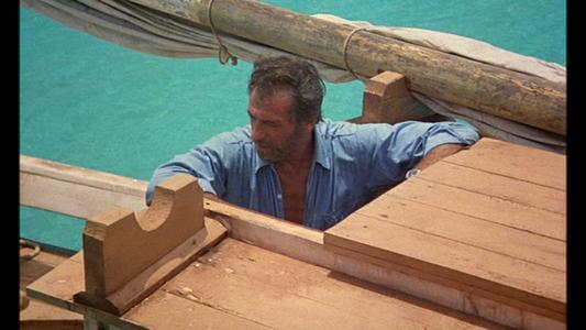 Le sauvage