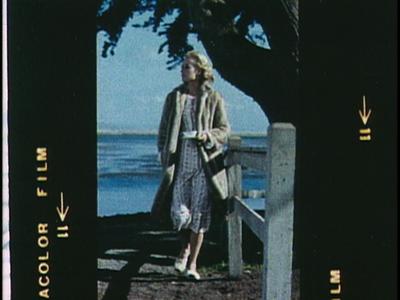 The Birds - deleted scene