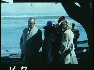 The Birds - deleted scene