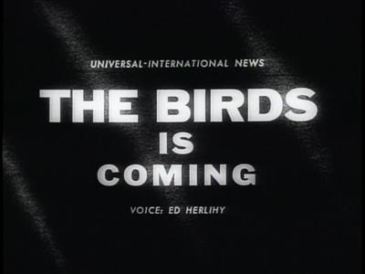 The Birds is Coming
