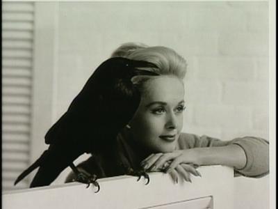 The Birds - production photographs