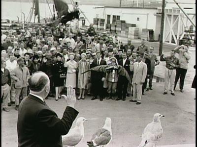 The Birds - production photographs