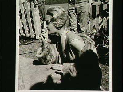 The Birds - production photographs