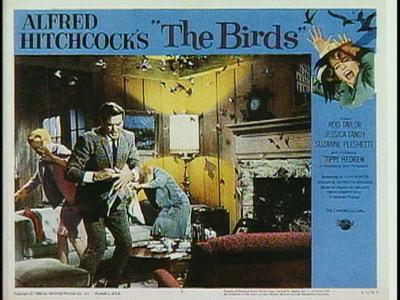 The Birds - production photographs