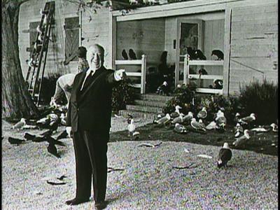 The Birds - production photographs