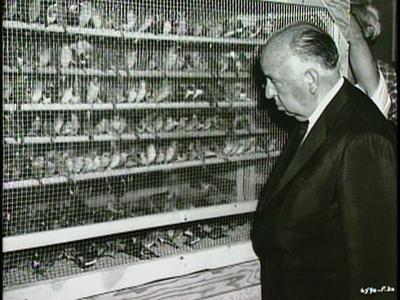 The Birds - production photographs