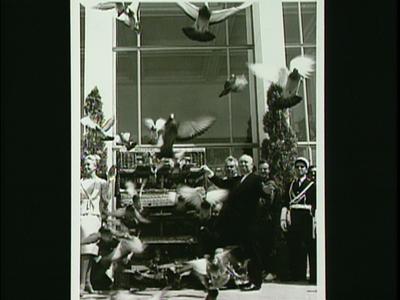 The Birds - production photographs