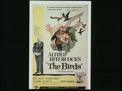 The Birds - production photographs