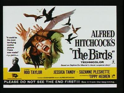 The Birds - production photographs