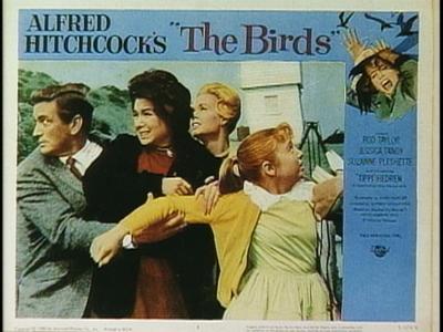 The Birds - production photographs