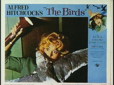 The Birds - production photographs