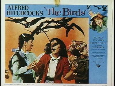 The Birds - production photographs