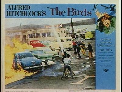 The Birds - production photographs