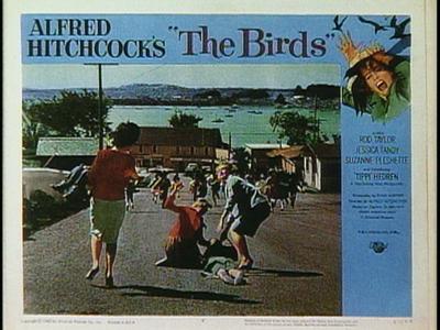 The Birds - production photographs