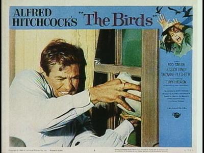 The Birds - production photographs