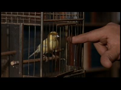 The Birds - theatrical trailer