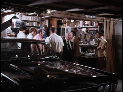 Plotting Family Plot