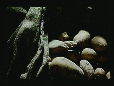 Frenzy - production photographs