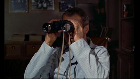 Rear Window