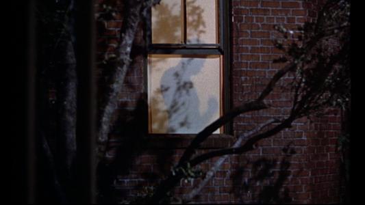 Rear Window