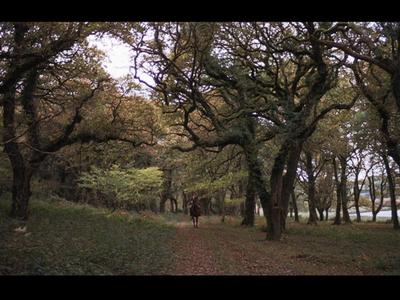 Barry Lyndon