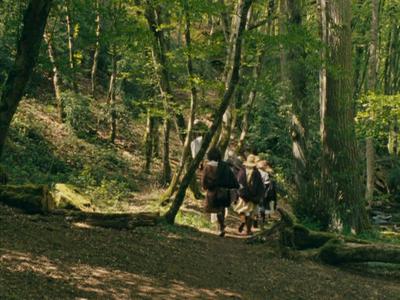 The Romance of Astrea and Celadon