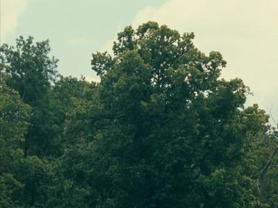 The Romance of Astrea and Celadon