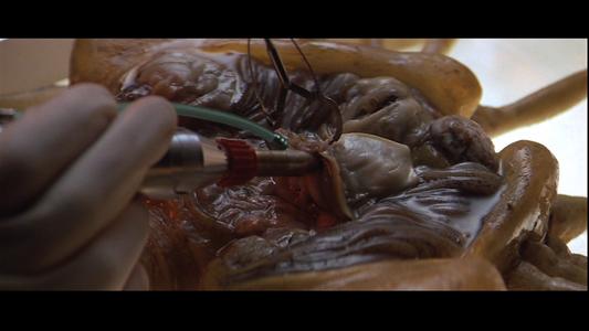 Alien