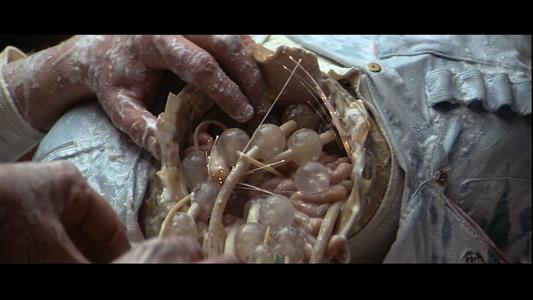 Alien