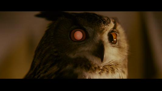 Blade Runner: The Final Cut