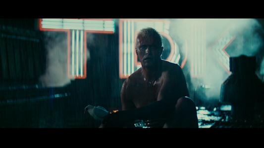 Blade Runner: The Final Cut