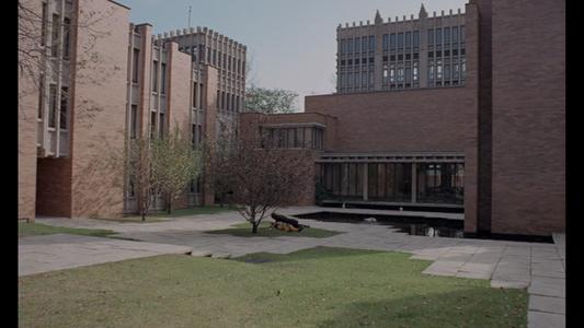 Crimes of the Future