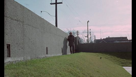 Crimes of the Future