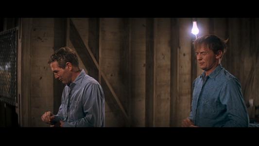 Cool Hand Luke