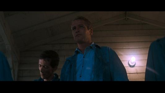 Cool Hand Luke