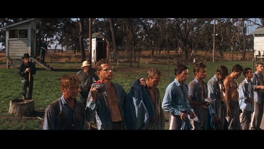Cool Hand Luke