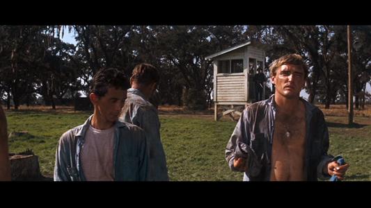 Cool Hand Luke
