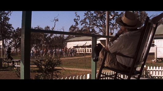 Cool Hand Luke