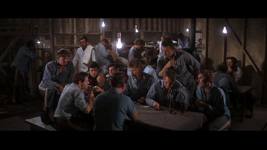 Cool Hand Luke