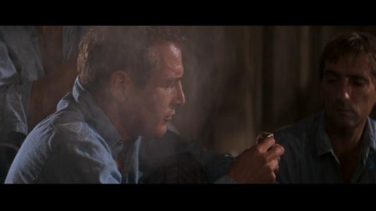 Cool Hand Luke