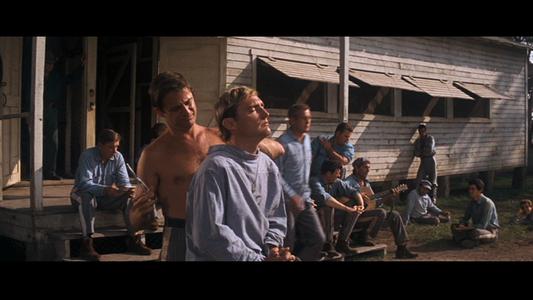 Cool Hand Luke