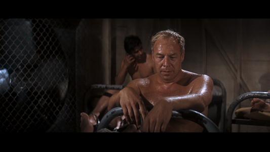 Cool Hand Luke