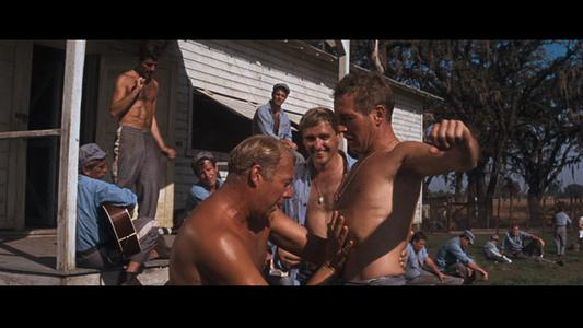 Cool Hand Luke