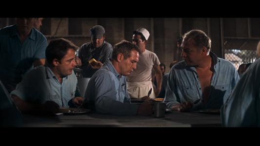 Cool Hand Luke