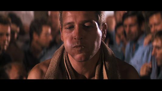 Cool Hand Luke