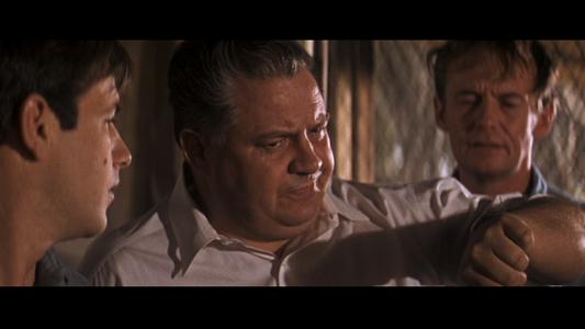 Cool Hand Luke